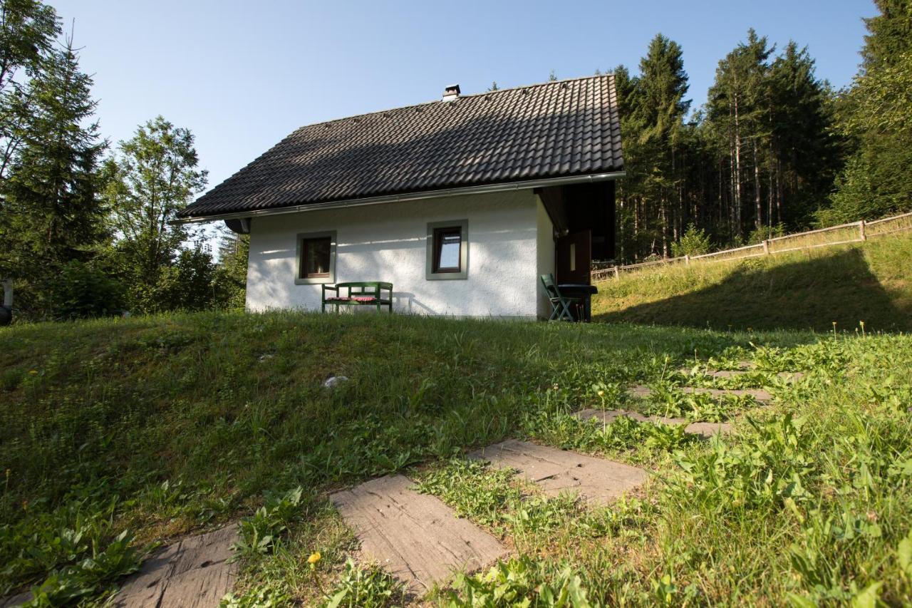 Holiday Home Voje ボーヒニ エクステリア 写真
