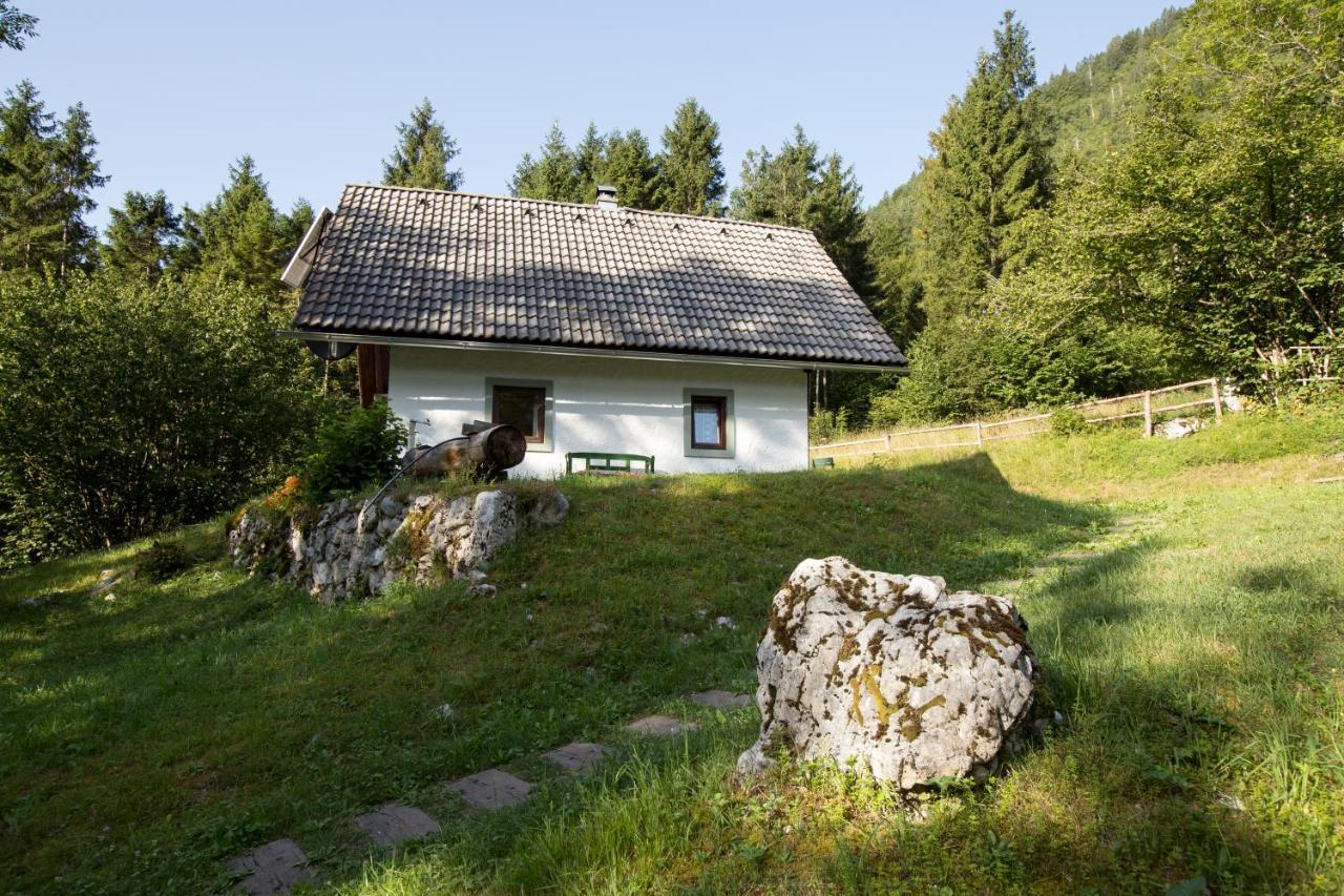 Holiday Home Voje ボーヒニ エクステリア 写真