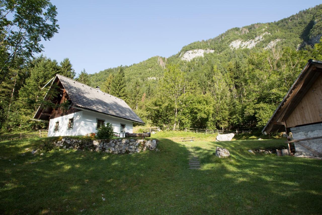 Holiday Home Voje ボーヒニ エクステリア 写真