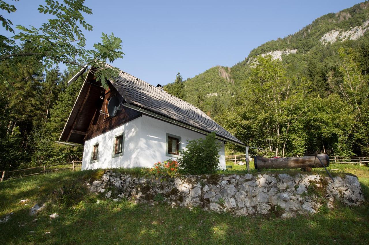 Holiday Home Voje ボーヒニ エクステリア 写真